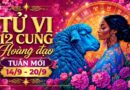 Tử vi tuần mới 12 cung hoàng đạo từ 14/9-20/9 Tử vi tuần mới 12 cung hoàng đạo từ 14/9-20/9