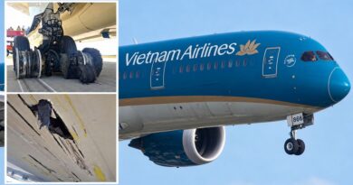 Khả năng có thể phi công trưởng Việt Nam Airlines suýt gây ra thảm họa vì vừa tăng tốc vừa đạp phanh