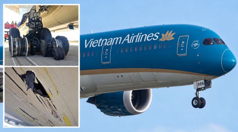 Khả năng có thể phi công trưởng Việt Nam Airlines suýt gây ra thảm họa vì vừa tăng tốc vừa đạp phanh