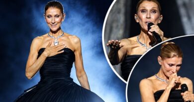 VIDEO: Celine Dion khóc khi trở lại sân khấu sau 6 năm mắc bệnh lạ, thực hiện lời hứa với người hâm mộ