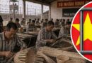 Cưỡng bức lao động trong tù: Lời kể của một người tù Vinh Quang