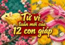 Tử vi tuần mới 12 con giáp từ 26/10-1/11