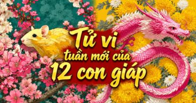 Tử vi tuần mới 12 con giáp từ 26/10-1/11 Tử vi tuần mới 12 con giáp từ 26/10-1/11
