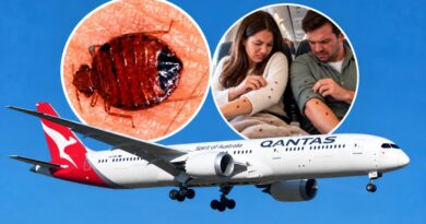 Qantas: Phát hiện rệp trên máy bay chở khách Boeing 787 Dreamliner Qantas: Phát hiện rệp trên máy bay chở khách Boeing 787 Dreamliner